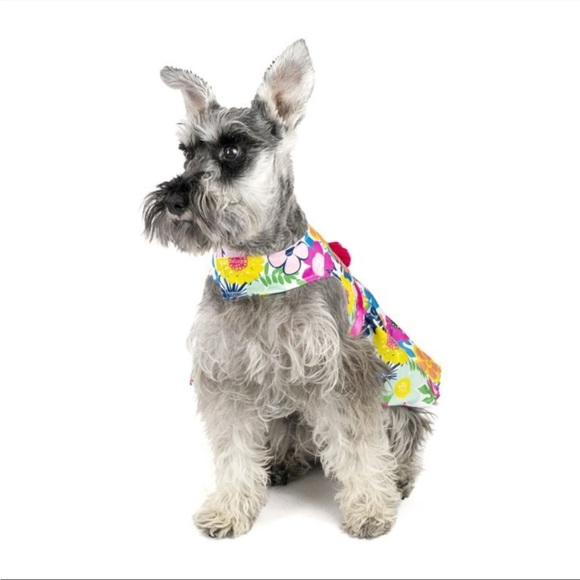 NWT Vibrant Life Bright Floral Dog Dress Size XS (up to 10 pounds) - Picture 2 of 9
